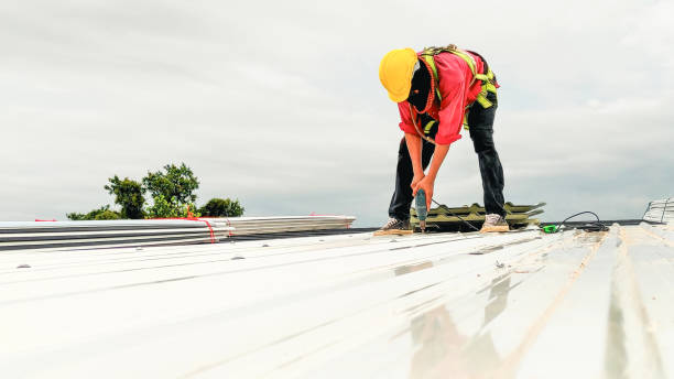 Best Sheet Metal Roofing  in Corunna, MI